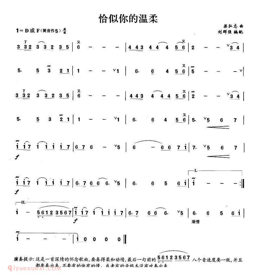 洞箫乐曲【恰似你的温柔】简谱