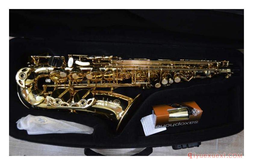 塞尔玛(Selmer)萨克斯各系列型号简介