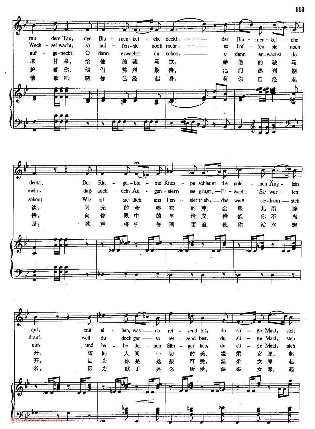 五线谱《小夜曲/听,听,云雀》奥地利