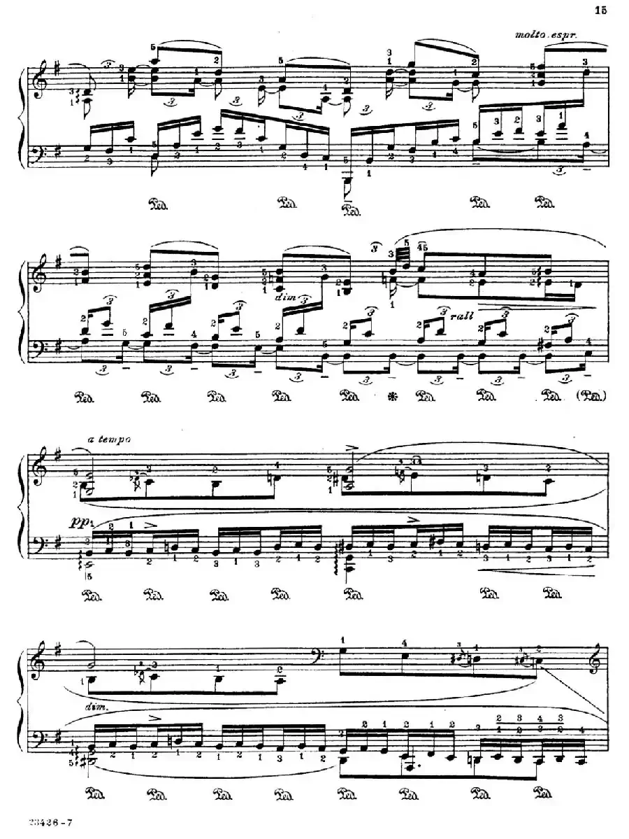 Java Suiten(爪哇组曲·Ⅴ)