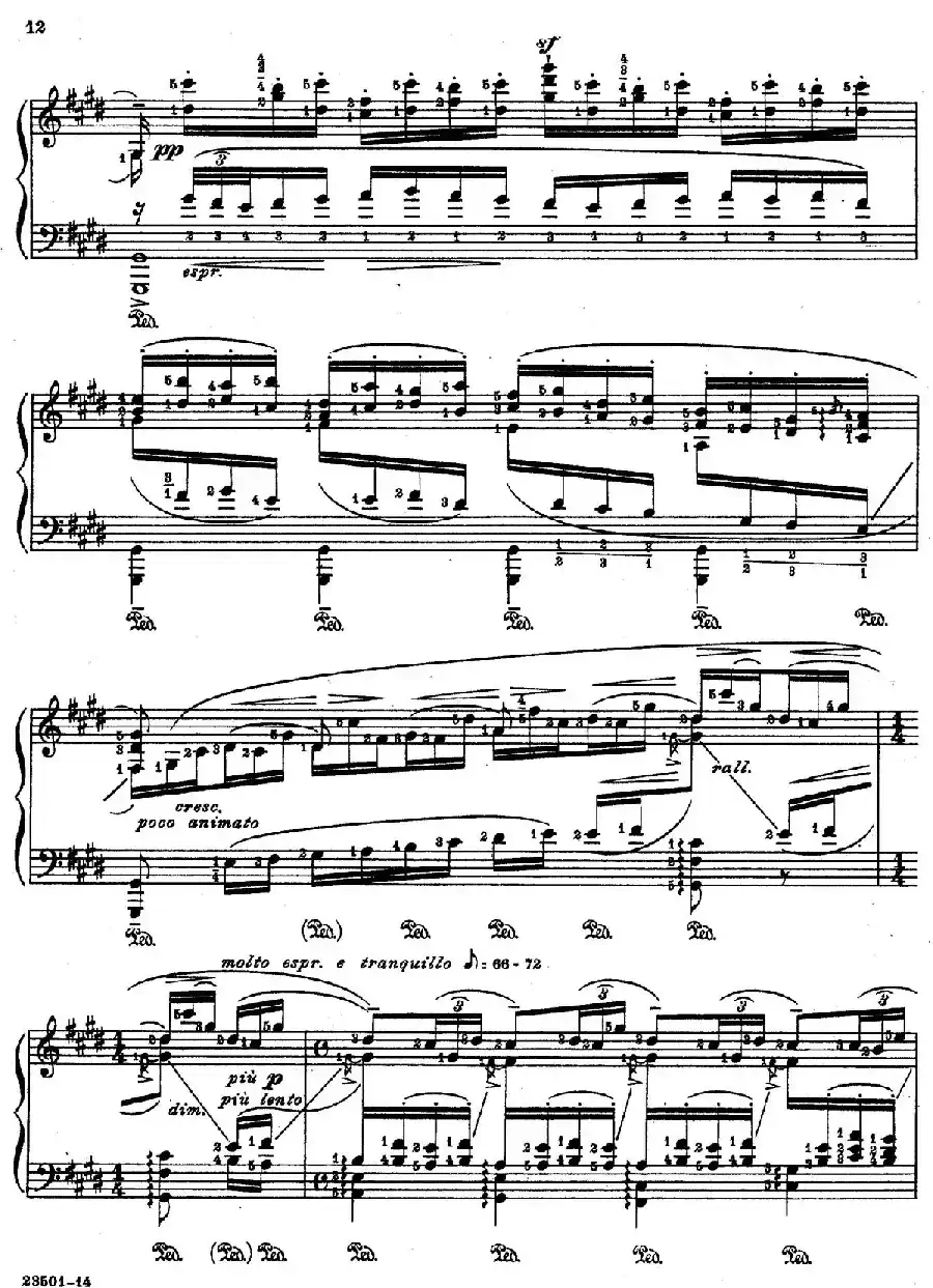 Java Suiten(爪哇组曲·Ⅹ)