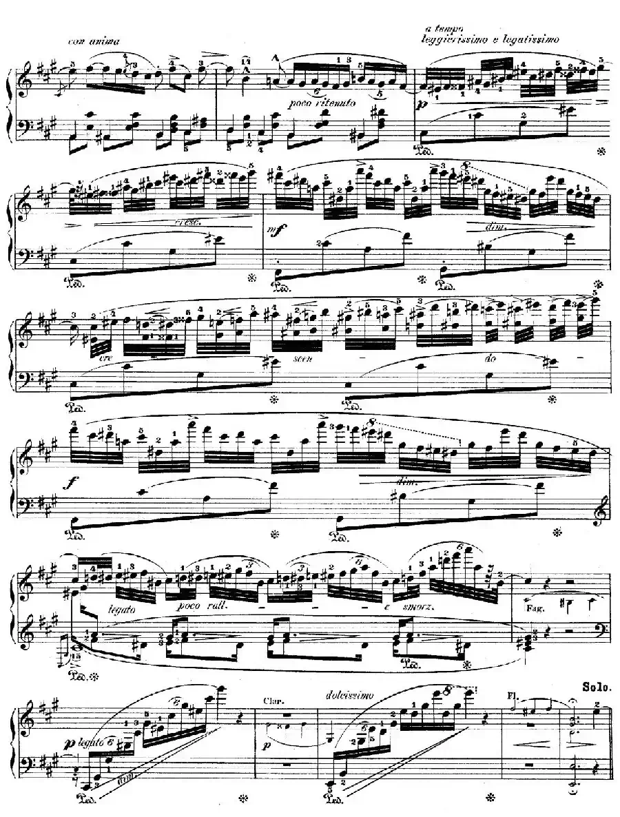 Grand Fantasy on Polish Airs Op.13(华丽的波兰民歌幻想曲·钢琴独奏版)