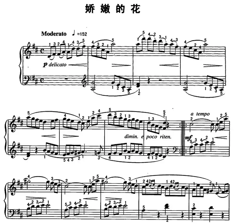 娇嫩的花