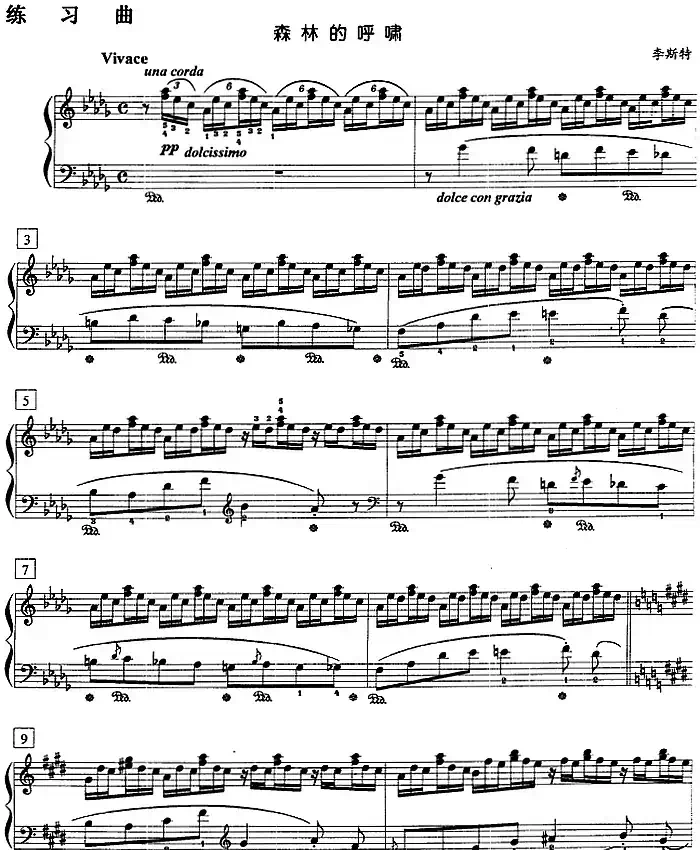 钢琴教程第八级 练习曲(森林的呼啸)