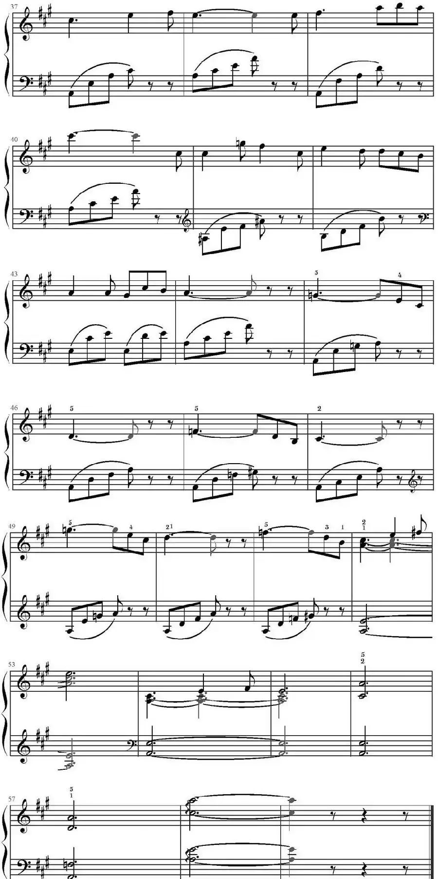 第五号夜曲