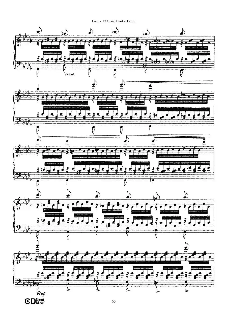 12 Grand Etudes S.137(12首华丽的练习曲·12)