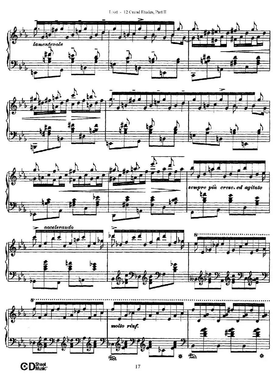12 Grand Etudes S.137(12首华丽的练习曲·8)