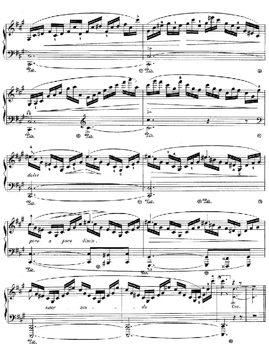 Grand Fantasy on Polish Airs Op.13(华丽的波兰民歌幻想曲·钢琴独奏版)