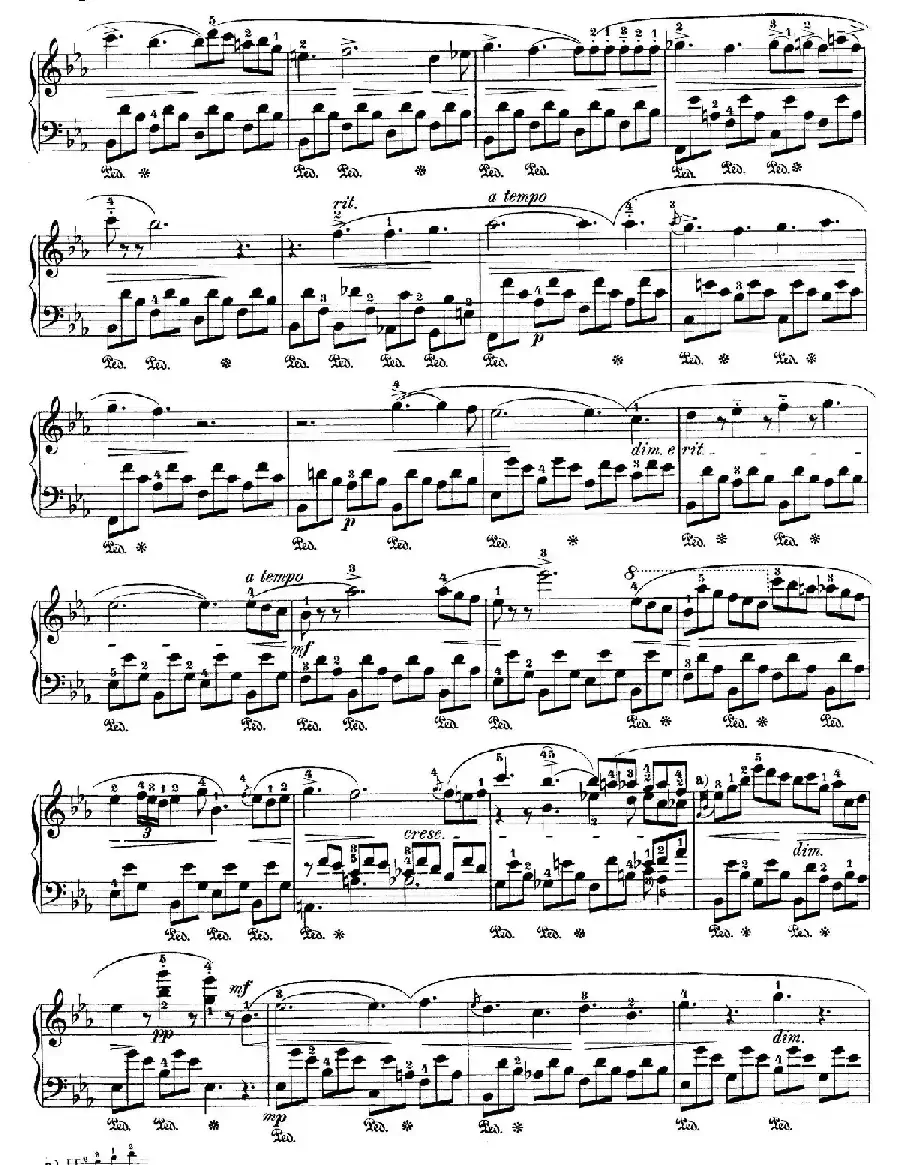 Nocturne No.1 in E-flat Major(降E大调第一号夜曲)