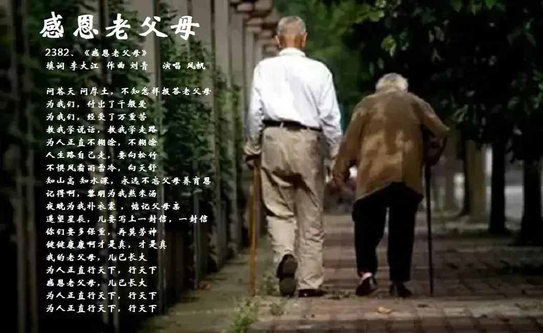 感恩老父母