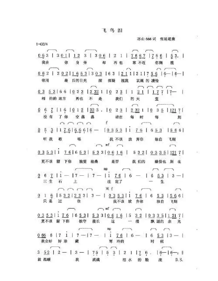 飞鸟泪