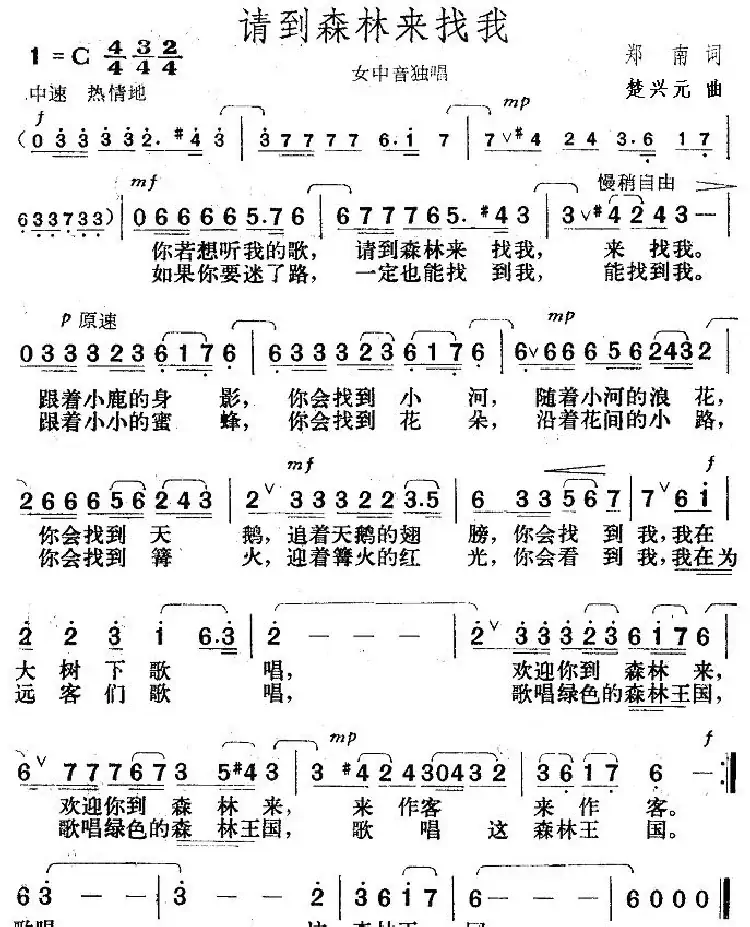 请到森林来找我