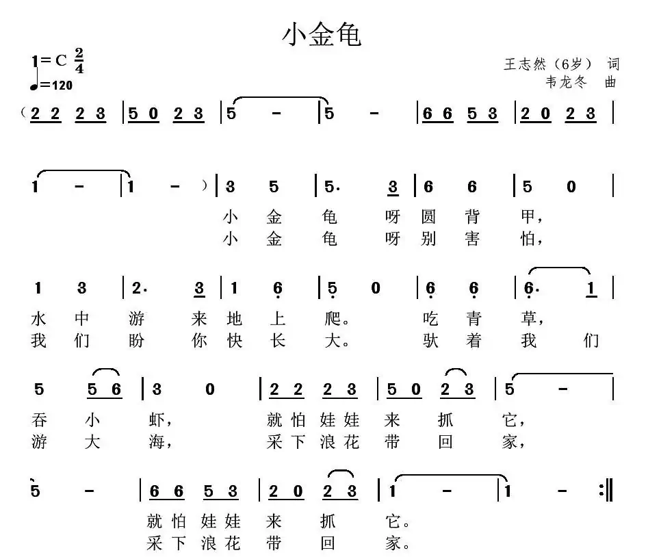 小金龟