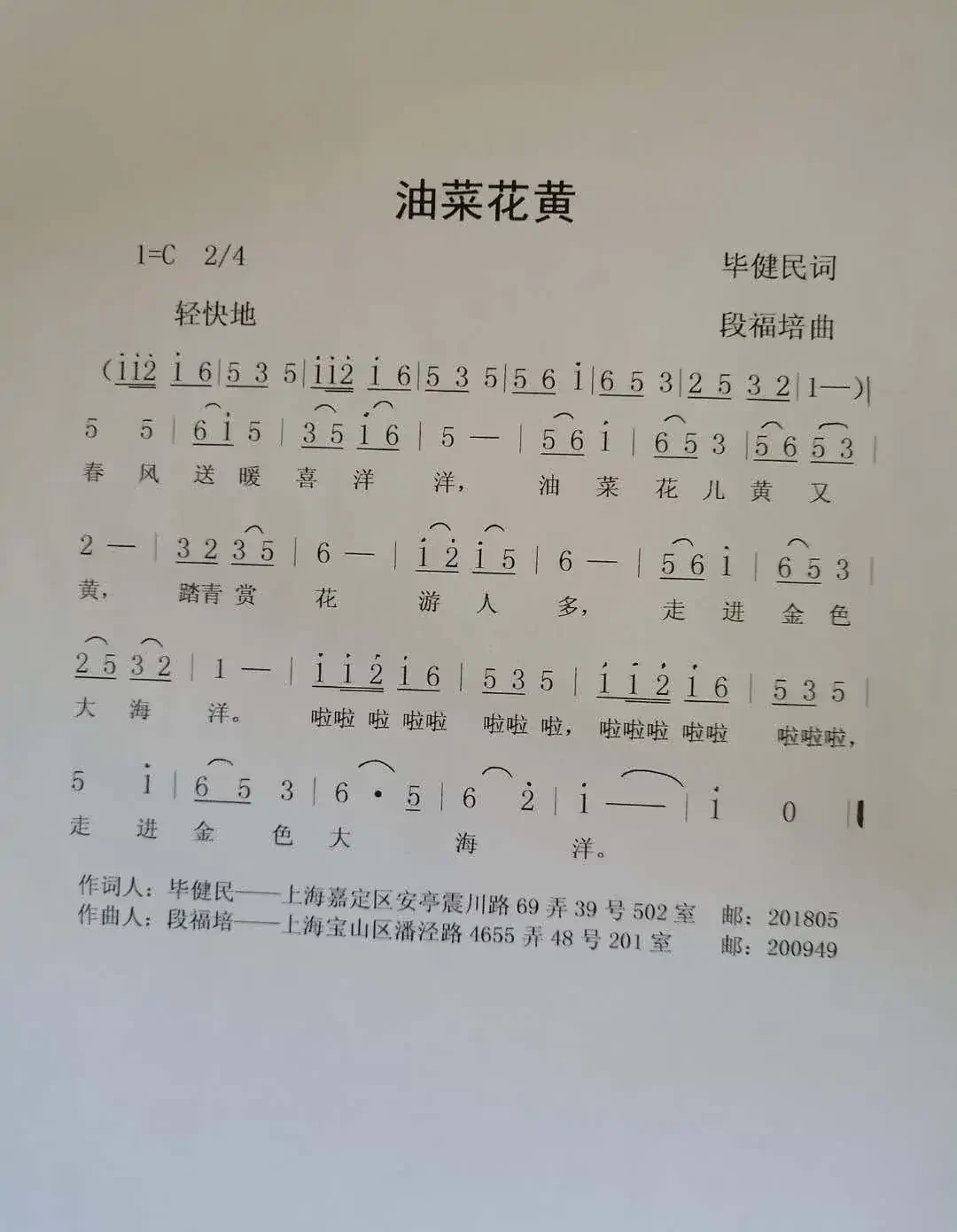 油菜花黄