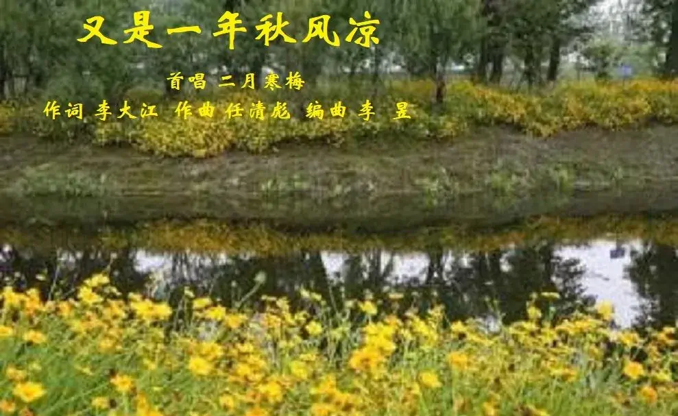 又是一年秋风凉