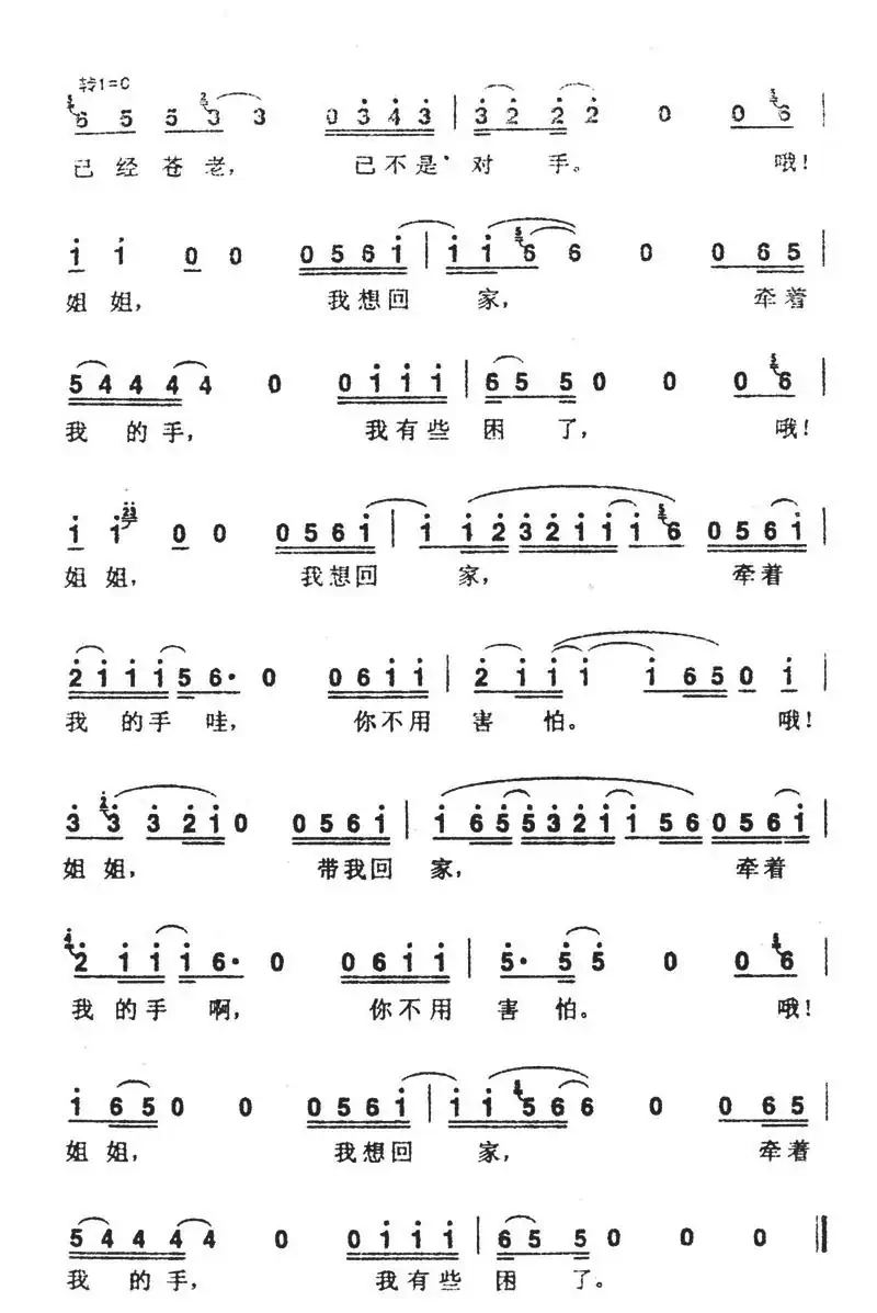姐姐(张楚词曲)