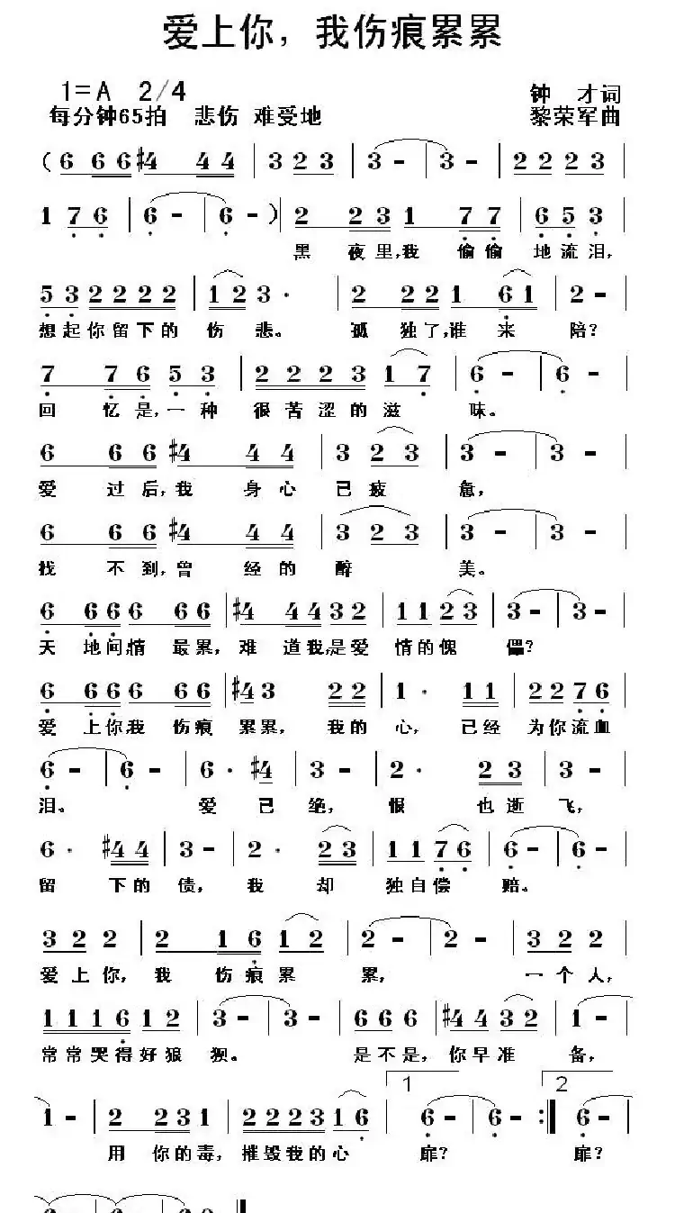 爱上你,我伤痕累累