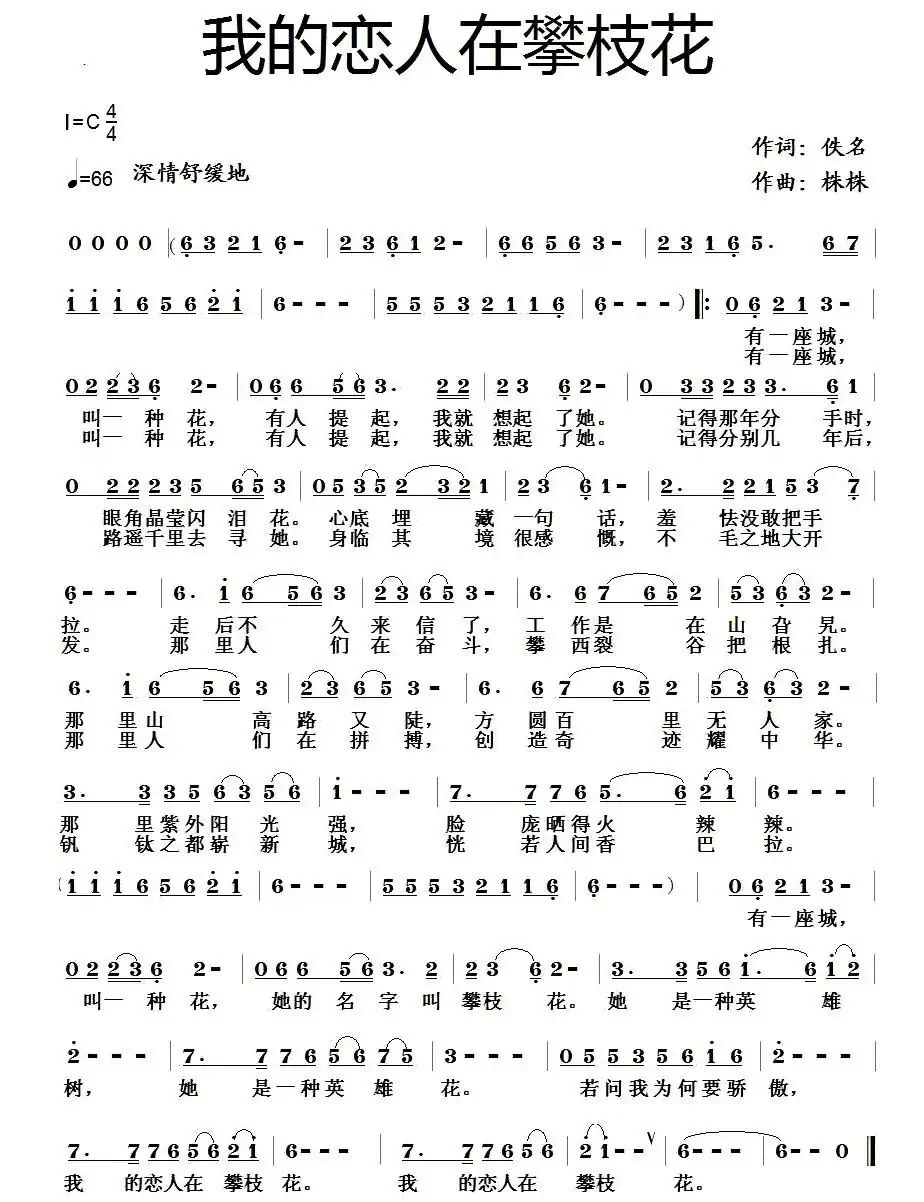 我的恋人在攀枝花