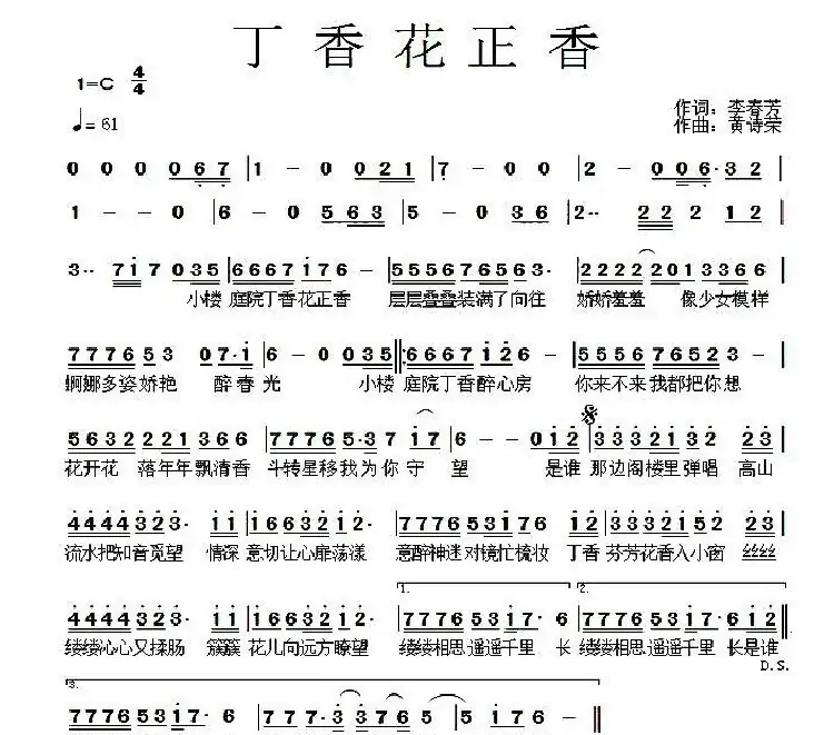 丁香花正香