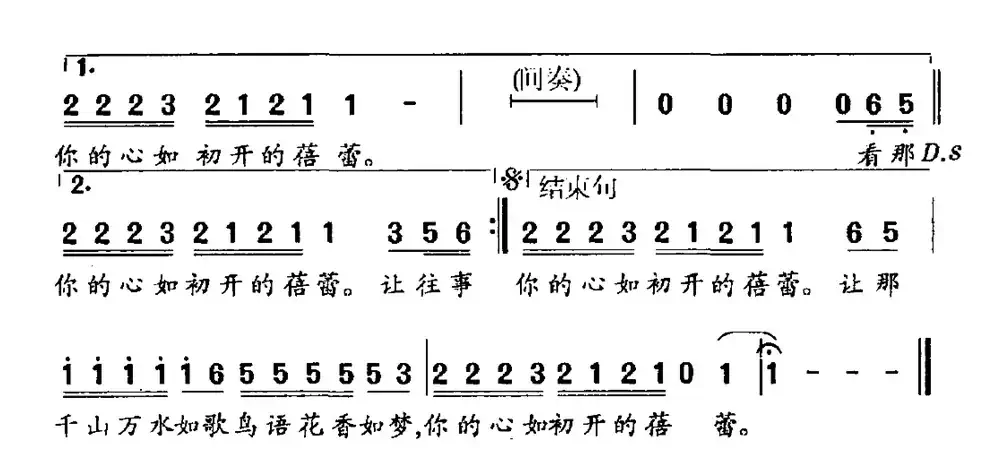 让往事飞