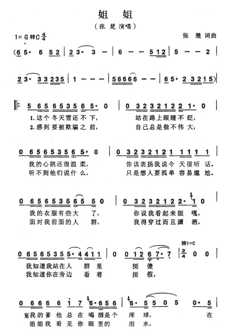 姐姐(张楚词曲)