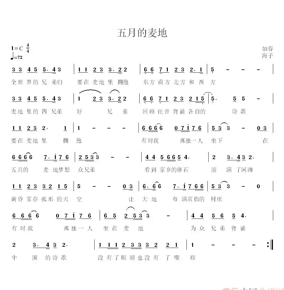 五月的麦地