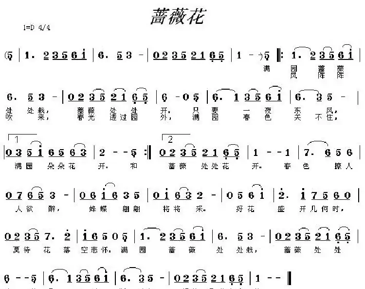 蔷薇花