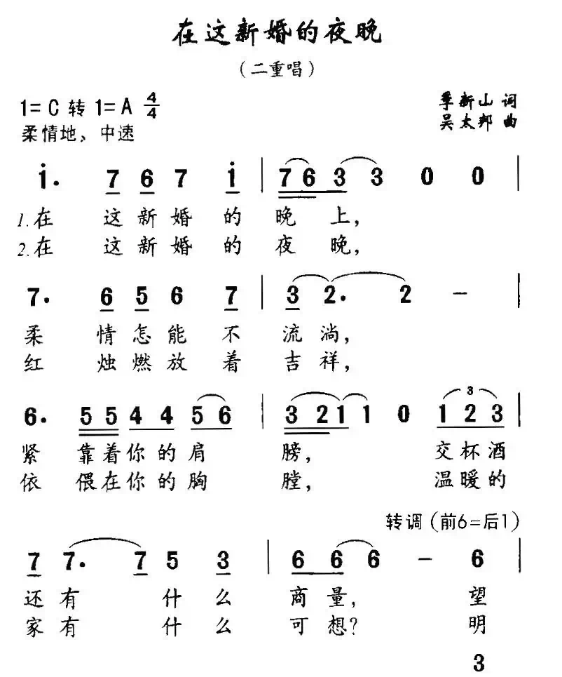 在这新婚的夜晚(二重唱)